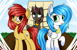 Size: 7141x4688 | Tagged: safe, artist:axioma_dice, oc, oc only, alicorn, earth pony, pegasus, pony, absurd resolution