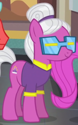 Size: 322x516 | Tagged: safe, screencap, earth pony, pony, rarity takes manehattan, cropped, female, mare, solo focus, spaceage sparkle