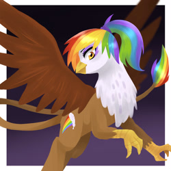 Size: 3000x3000 | Tagged: safe, artist:kianamai, oc, oc only, oc:rainbow feather, griffon, hippogriff, cutie mark, interspecies offspring, magical lesbian spawn, next generation, offspring, parent:gilda, parent:rainbow dash, parents:gildash