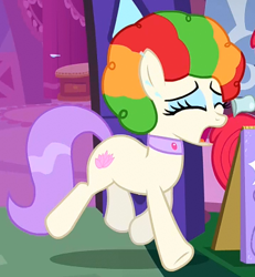 Size: 359x388 | Tagged: dead source, safe, screencap, apple bloom, vera, earth pony, pony, the show stoppers, afro, clown hair, crying, female, solo, vera's mane, wig