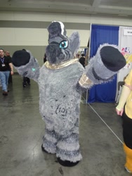 Size: 1536x2048 | Tagged: safe, zecora, human, zebra, cosplay, fursuit, irl, irl human, photo