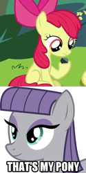 Size: 450x900 | Tagged: safe, apple bloom, maud pie, leap of faith, caption, hilarious in hindsight, image macro, maudbloom, meme, pony that's my pony, rock, that's my pony, that's my x