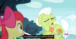 Size: 1600x830 | Tagged: safe, screencap, apple bloom, granny smith, leap of faith, hub logo, meme, youtube caption