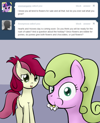 Size: 650x800 | Tagged: safe, artist:why485, daisy, flower wishes, roseluck, ask, ask the flower trio, tumblr