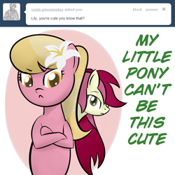 Size: 650x650 | Tagged: safe, artist:why485, lily, lily valley, roseluck, ask, ask the flower trio, tumblr