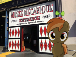 Size: 3264x2448 | Tagged: safe, artist:dashiesparkle, artist:greenmachine987, button mash, arcade, door, irl, photo, ponies in real life, solo, vector