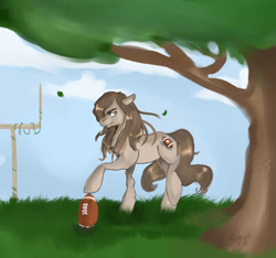 Size: 1600x1500 | Tagged: safe, artist:zakkurro, oc, oc only, earth pony, pony, american football, solo