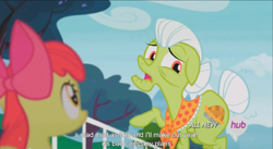 Size: 1393x763 | Tagged: safe, screencap, apple bloom, granny smith, leap of faith, hub logo, meme, youtube caption