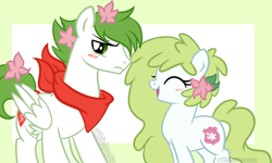 Size: 1024x615 | Tagged: safe, artist:xwhitedreamsx, oc, oc:gracidea, pony, female, flower, flower in hair, male, mare, pokémon, ponified, shaymin, stallion