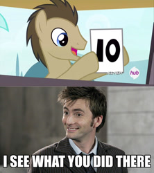 Size: 800x899 | Tagged: safe, edit, screencap, doctor whooves, leap of faith, 10, analysis, doctor who, i see what you did there, image macro, meme, reference, tenth doctor