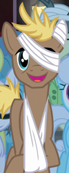 Size: 424x1064 | Tagged: safe, screencap, dirtbound, dizzy twister, linky, orange swirl, shoeshine, leap of faith, background pony, bandage, theodore donald "donny" kerabatsos