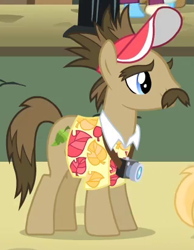 Size: 315x405 | Tagged: safe, screencap, globe trotter, rarity takes manehattan, background pony, solo, tourist