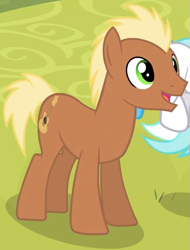 Size: 475x625 | Tagged: safe, screencap, lightning bolt, lyra heartstrings, meadow song, white lightning, pegasus, pony, filli vanilli, background pony, female, mare, musical clownspony