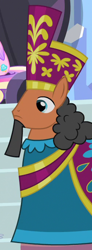 Size: 250x680 | Tagged: safe, screencap, duke of maretonia, equestria games (episode), background pony, dignitary, equestria games, kyrippos ii, solo