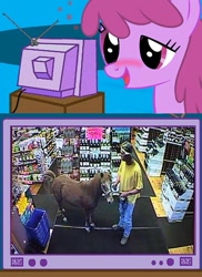 Size: 437x600 | Tagged: safe, berry punch, berryshine, human, exploitable meme, hoers, irl, irl human, liquor store, meme, obligatory pony, photo, poop, pooping, real pony, tv meme