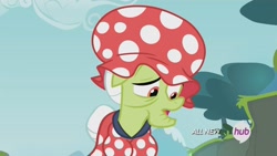 Size: 1920x1080 | Tagged: safe, screencap, granny smith, leap of faith, all new, breasts, busty granny smith, clothes, female, hat, hub logo, misplaced boobs, out of context, quadrupedal chest boobs, raised eyebrow, solo, swimming cap, swimsuit