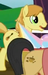 Size: 181x283 | Tagged: safe, screencap, pokey oaks, leap of faith, background pony, cropped, male, not braeburn, open mouth, stallion