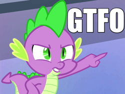 Size: 800x600 | Tagged: safe, screencap, spike, dragon, equestria games (episode), caption, gtfo, image macro, meme, solo, vulgar