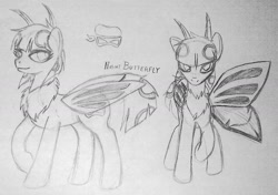 Size: 1280x901 | Tagged: safe, artist:elmutanto, oc, oc only, oc:nocturne illusion, mothpony, original species, monochrome, sketch, traditional art