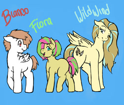 Size: 950x800 | Tagged: safe, artist:jointsupermodel, oc, oc only, oc:bianco, oc:fiora, oc:wildwind, blank flank, offspring, parent:bulk biceps, parent:fluttershy, parents:flutterbulk, simple background