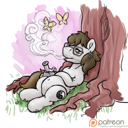 Size: 1500x1500 | Tagged: safe, artist:smudge proof, oc, oc only, oc:wayward pony, butterfly, bong, drugs, featureless crotch, high, marijuana, patreon, patreon logo, sketch, smoke, tree