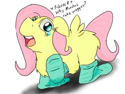 Size: 1024x768 | Tagged: safe, artist:fluffsplosion, fluffy pony, clothes, fluffyshy, socks, stupidity