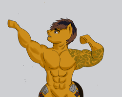 Size: 750x600 | Tagged: safe, artist:kul, semi-anthro, aziz shavershian, fetish, muscle fetish, muscles, ponified, pose, solo, tattoo, zyzz