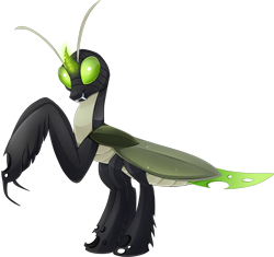 Size: 1200x1129 | Tagged: safe, artist:blackfreya, changeling, hybrid, mantis, green changeling, male, mantisling, simple background, solo, transparent background