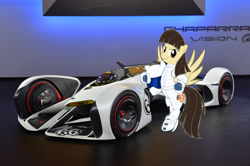 Size: 1280x850 | Tagged: safe, wild fire, chaparral, gran turismo, irl, photo, ponies in real life