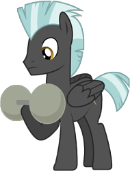 Size: 6143x8080 | Tagged: safe, artist:emooy13, thunderlane, pegasus, pony, equestria games (episode), absurd resolution, male, simple background, solo, stallion, transparent background, vector, weight lifting