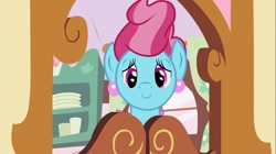 Size: 1100x618 | Tagged: safe, screencap, cup cake, earth pony, pony, baby cakes, blue coat, female, mare, two toned mane
