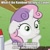 Size: 500x500 | Tagged: safe, sweetie belle, oc, alicorn, pony, unicorn, fanfic:rainbow factory, alicorn oc, exploitable meme, female, filly, horn, image macro, meme, solo, sudden clarity sweetie belle, text, two toned mane, white coat, wide eyes