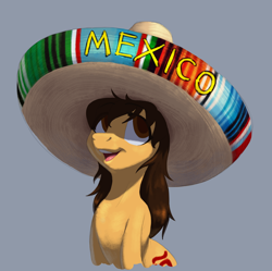 Size: 2172x2164 | Tagged: source needed, safe, artist:mav, oc, oc only, oc:maría teresa de los ponyos paguetti, mexico, simple background, solo, sombrero, sombrero charro