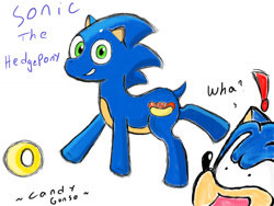 Size: 1024x768 | Tagged: safe, artist:candygunso, anthro ponidox, chili dog, chilli, crossover, hot dog, ponified, ring, self ponidox, solo, sonic the hedgehog, sonic the hedgehog (series)