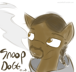 Size: 1000x948 | Tagged: safe, artist:wuzzlefluff, drugs, ponified, smoke, snoop dogg, snoop lion, solo