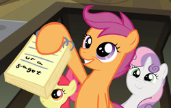 Size: 1142x720 | Tagged: safe, edit, screencap, apple bloom, scootaloo, sweetie belle, ponyville confidential, cutie mark crusaders, ur a faget