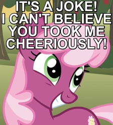 Size: 540x600 | Tagged: safe, edit, edited screencap, screencap, cheerilee, earth pony, pony, hearts and hooves day (episode), caption, cheerious, female, grin, hearts and hooves day, image macro, joke, mare, pun, reaction image, smiling, solo, squee