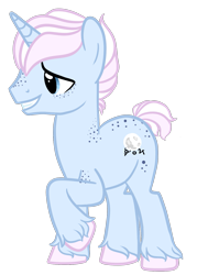 Size: 1209x1598 | Tagged: safe, artist:pinipy, oc, oc only, freckles, simple background, transparent background, unshorn fetlocks, vector