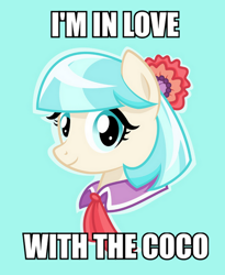 Size: 500x611 | Tagged: safe, coco pommel, bust, coco (song), image macro, looking at you, meme, o.t. genasis, portrait, smiling, solo, song reference