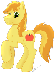 Size: 1171x1562 | Tagged: safe, artist:crusierpl, braeburn, chest fluff, simple background, solo, transparent background