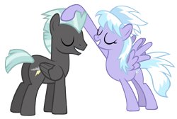 Size: 7300x4900 | Tagged: safe, artist:sofunnyguy, cloudchaser, thunderlane, pegasus, pony, absurd resolution, female, male, mare, simple background, stallion, transparent background, vector