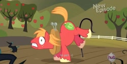 Size: 1577x797 | Tagged: safe, screencap, big macintosh, earth pony, pony, male, meme, solo, stallion, youtube caption