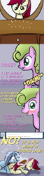 Size: 650x2600 | Tagged: safe, artist:why485, daisy, flower wishes, minuette, roseluck, ask, ask the flower trio, brush, comic, mirror, tumblr