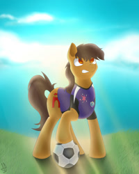 Size: 1600x2000 | Tagged: safe, oc, oc only, oc:maría teresa de los ponyos paguetti, /mlp/, /yeh/, 4chan cup, football