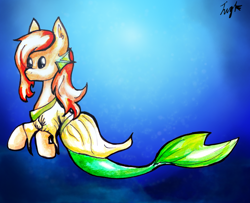 Size: 1024x830 | Tagged: safe, artist:kittysplasher, oc, oc only, hippocampus, merpony, solo, underwater