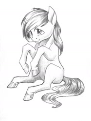 Size: 1067x1428 | Tagged: safe, artist:skyaircobra, oc, oc only, earth pony, pony, monochrome, solo