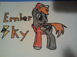 Size: 640x480 | Tagged: safe, artist:myfaceisonfire11, oc, oc only, oc:ember sky, pegasus, pony, art trade, clothes, hat, hoodie, traditional art