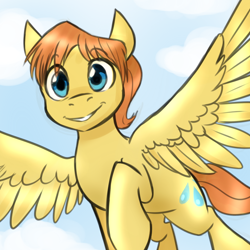 Size: 750x750 | Tagged: safe, artist:jitterbugjive, warm front, pegasus, pony, cloud, commission, flying, looking at you, male, sky, smiling, solo, spread wings, stallion, wings