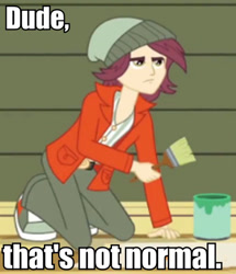 Size: 436x508 | Tagged: safe, edit, edited screencap, screencap, normal norman, equestria girls, rainbow rocks, background human, caption, reaction image, solo