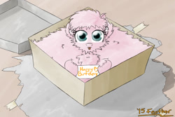 Size: 900x600 | Tagged: safe, artist:feather, oc, oc only, oc:fluffle puff, box, happy birthday